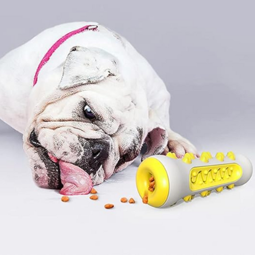 ChewJoy™ Gioco per Denti Felici