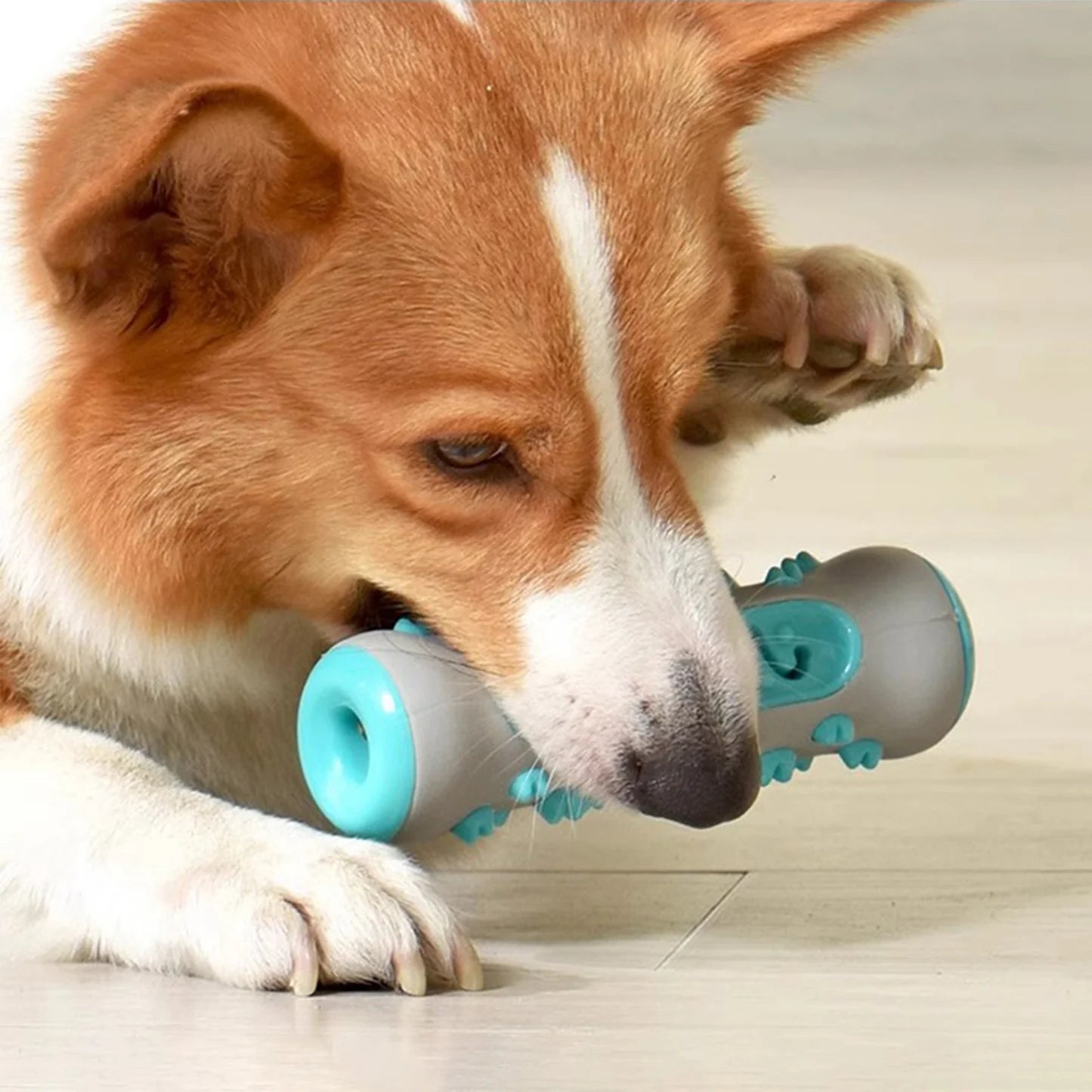 ChewJoy™ Gioco per Denti Felici