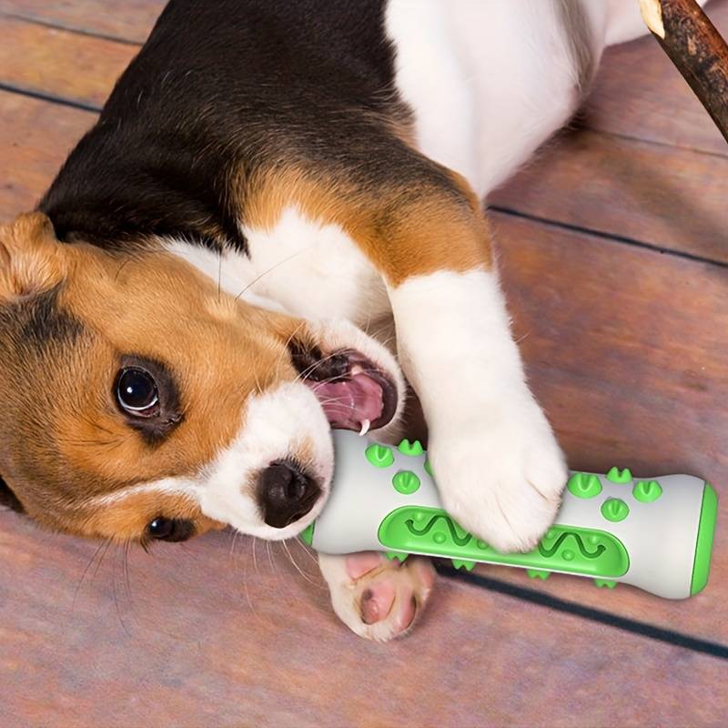 ChewJoy™ Gioco per Denti Felici