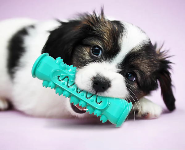 ChewJoy™ Gioco per Denti Felici